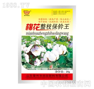 ��(r��n)��-�޻���֦���?f��)? width=