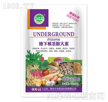 ���¸��o�����-��@���S-���S�ʘI(y��)