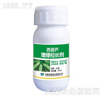 �����J���G���L��-���䌍�I(y��)