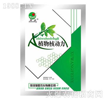 ֲ��˄�(d��ng)��-�r(n��ng)�ɸ�