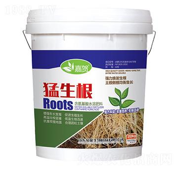 ��������ˮ�ܷ���-������-ؐ������