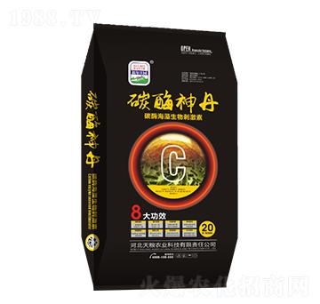 ̼ø��������̼���-̼ø��-�����f�@-��Z�r(n��ng)�I(y��)