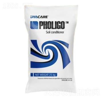 �����{(di��o)�턩-�����ɷ�