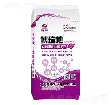 ���}�V�����{(di��o)�턩-�����-��������