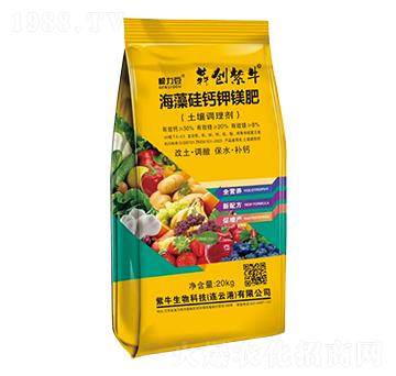 ������}��V��(�����{(di��o)�턩)-������-�Ą�(chu��ng)��ţ