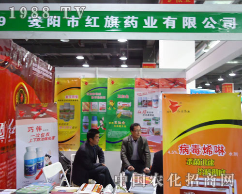 ��ꖼt��ˎ�I(y��)�ںӱ�ʡֲ��������������