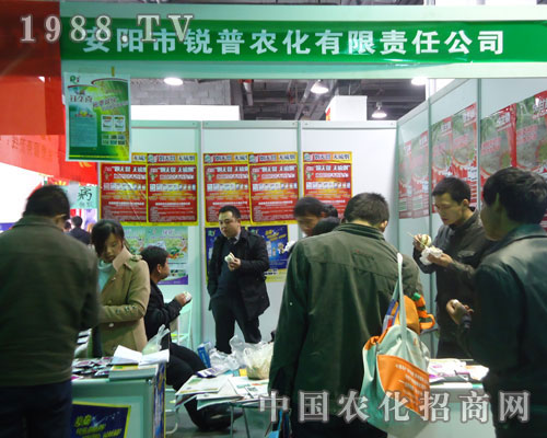 ����J���r���������