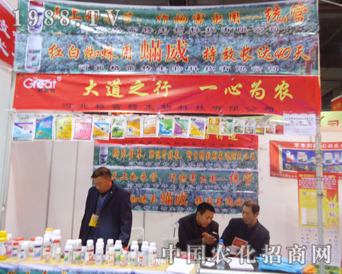 �����������ںӱ�ʡֲ��������������