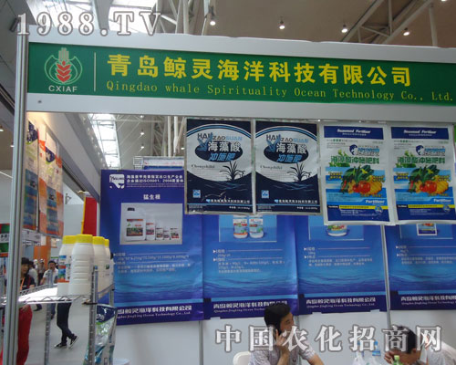 青島鯨靈海洋科技用真誠(chéng)換來(lái)效益