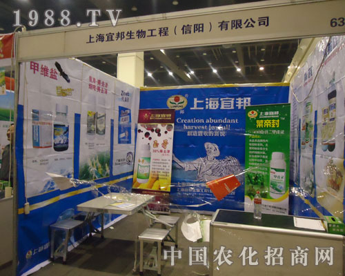 葉帝封、玉哥齊比拼