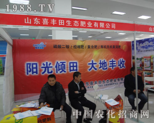 喜豐田——陽(yáng)光傾田，大地豐收