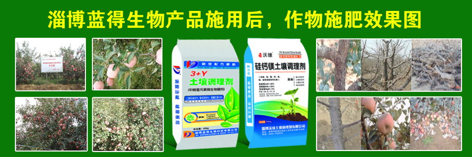 ����ʩ��Ч���D