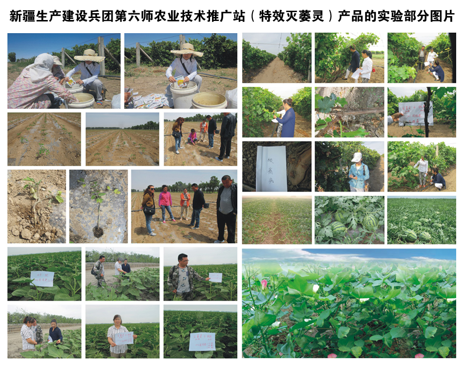 �½����a(ch��n)���O(sh��)���F�������r(n��ng)�I(y��)���g(sh��)�ƏVվ���a(ch��n)Ʒ�Č�򞲿�ֈDƬ