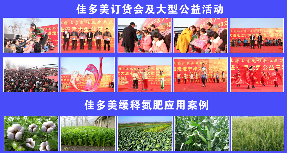 �Ѷ�������չʾ