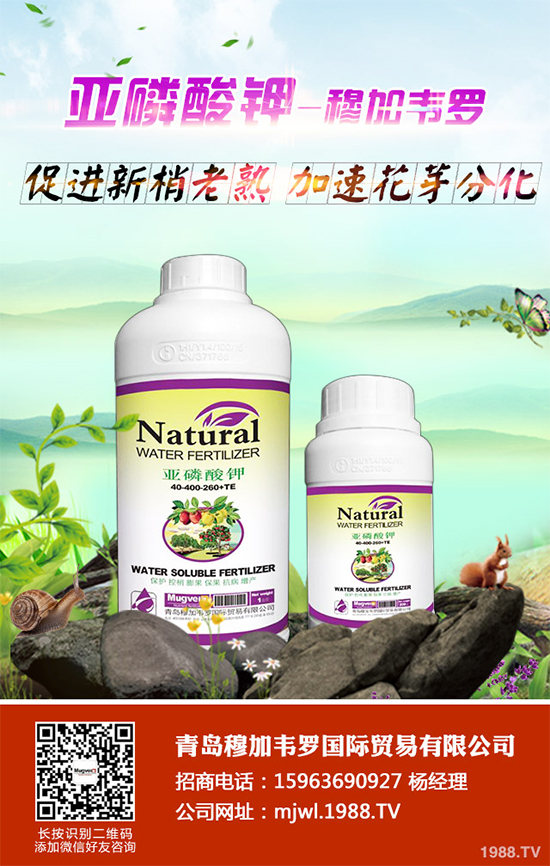 ���{(l��n)ܛ��������Щ�Y����F(xi��n)������ΰl(f��)���ģ����{(l��n)ܛ�����A(y��)����ʩ