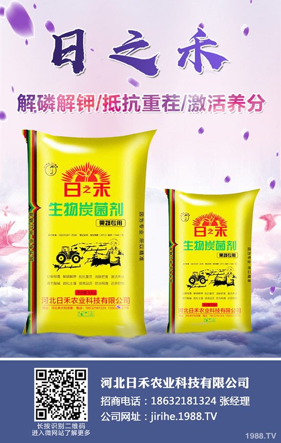 2019小麥?zhǔn)裁磿r(shí)候種植，小麥種植注意要點(diǎn)！