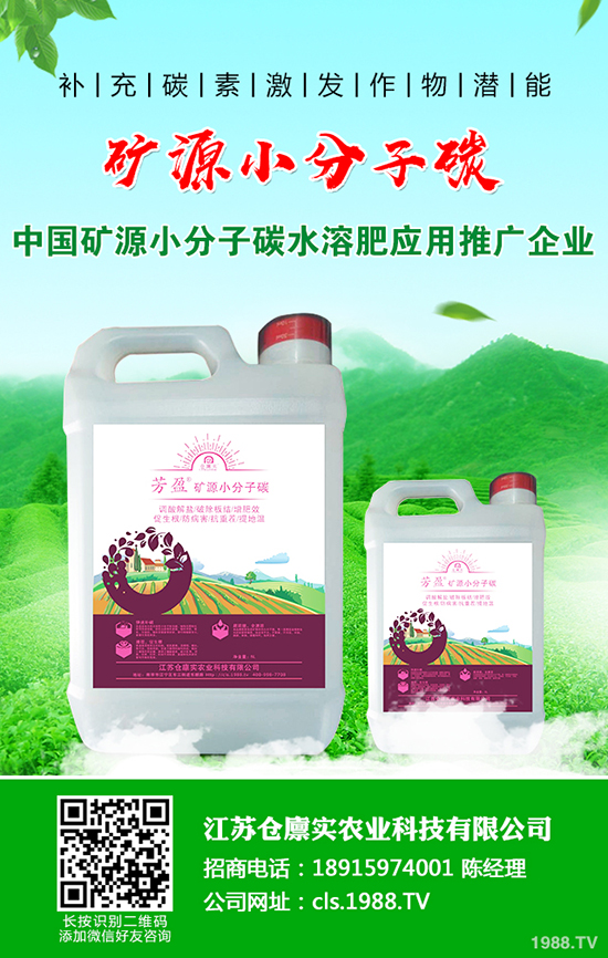 馬鈴薯爆發(fā)晚疫病怎么辦？馬鈴薯晚疫病防治方法！