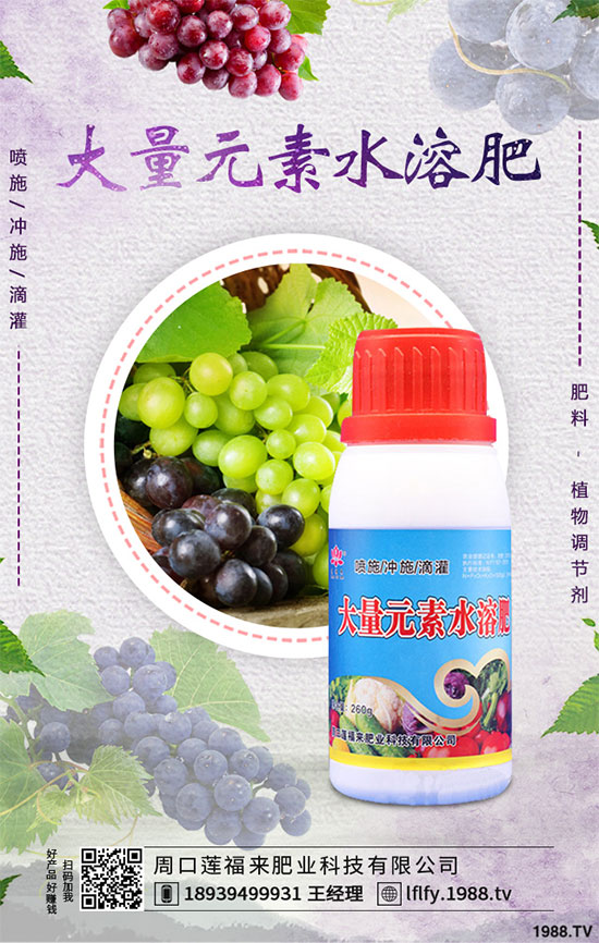 ��С�����N����粻�R����ô������С�����粻���A(y��)����ʩ��