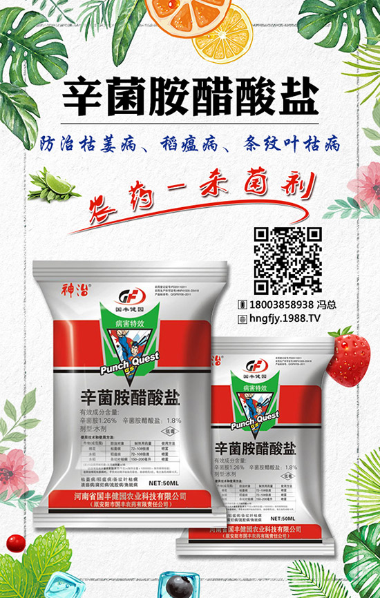 ����������Щ�I(y��ng)�B(y��ng)�r(ji��)ֵ���t�Ļ������Ͱ��Ļ������^(q��)�e��ʲô��