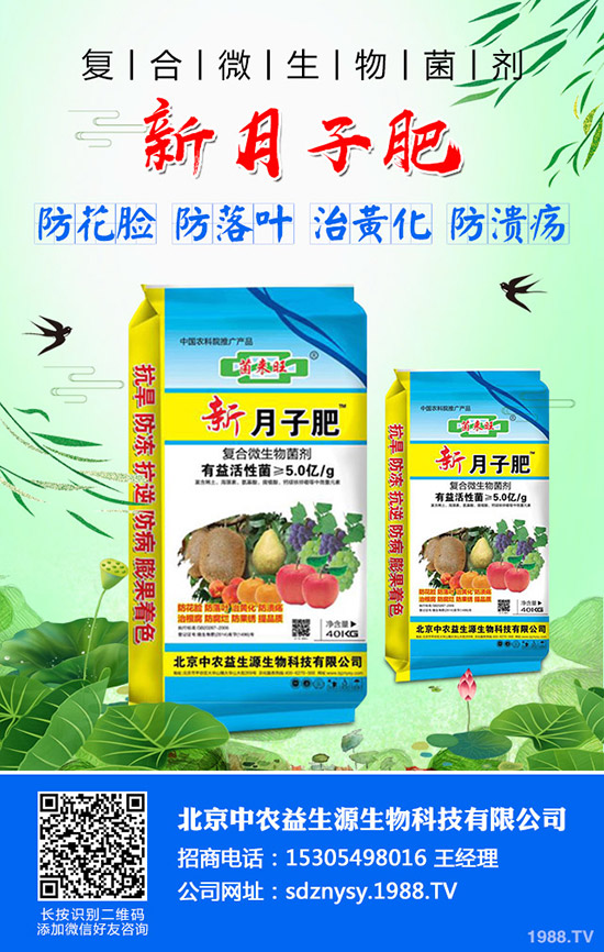     2019年10月中旬最新磷酸一銨市場(chǎng)價(jià)格行情走勢(shì)綜合分析