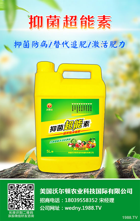 С�ײ������װ߲�ԓ��ô�k���ײ˰װ߲����δ�ʩ