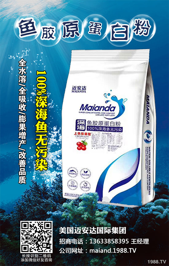 �ײ˲�����Σ���޴�������ԓ��ô�k���ײ˲�����������ΈD�V