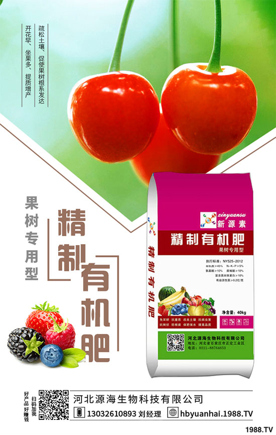 菠菜的生長習(xí)性如何？如何提高菠菜的產(chǎn)量？