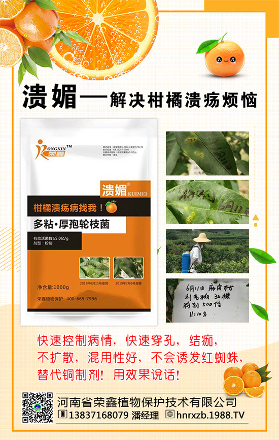 菠菜的營養(yǎng)價值，吃菠菜的好處有哪些？