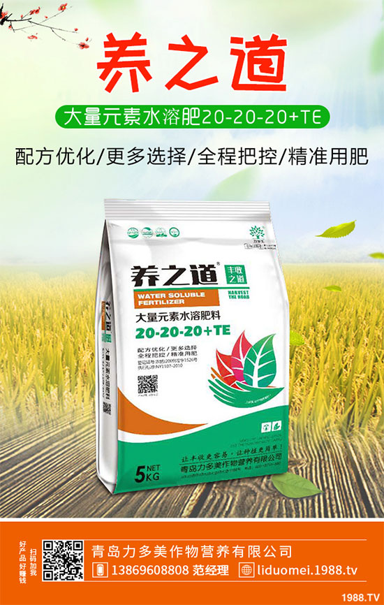 �ײ˰��P��Σ���@ô�󣬵���ԓ��η������ײ˰��P�����δ�ʩ