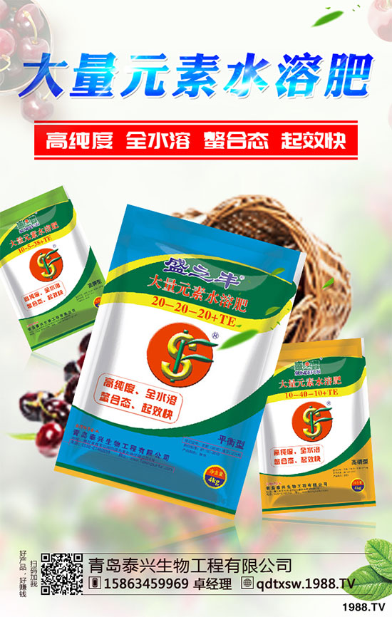 白菜根腐病有哪些危害癥狀？該如何防治？白菜根腫病的識別與防治！