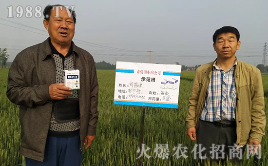 節(jié)節(jié)麥如何防除，用什么藥？