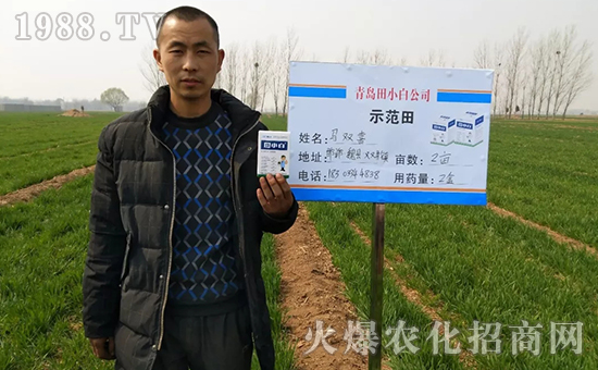 節(jié)節(jié)麥如何防除，用什么藥？