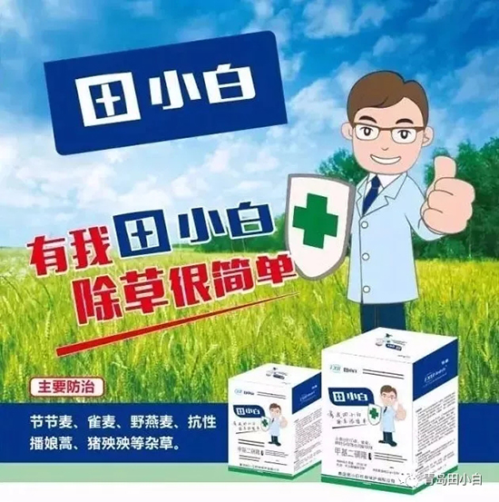 節(jié)節(jié)麥如何防除，用什么藥？怎么打藥效果好？