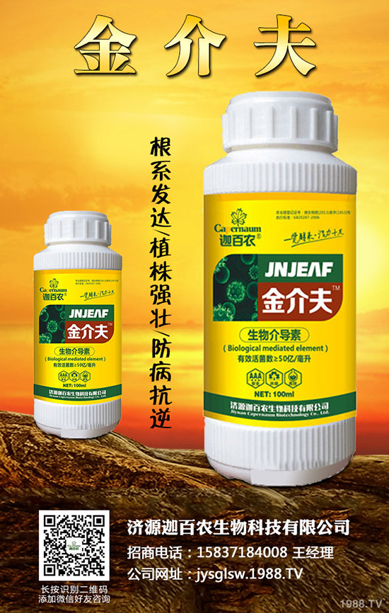 ���������o��������ô�k�������o���������\���c������