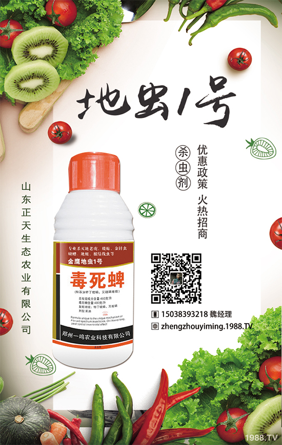 櫻桃蘿卜如何種植，櫻桃蘿卜需要注意什么？