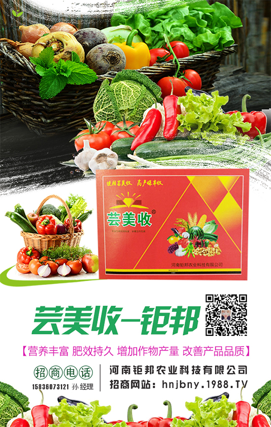 櫻桃蘿卜生長(zhǎng)對(duì)環(huán)境條件要求，櫻桃蘿卜怎么施肥？