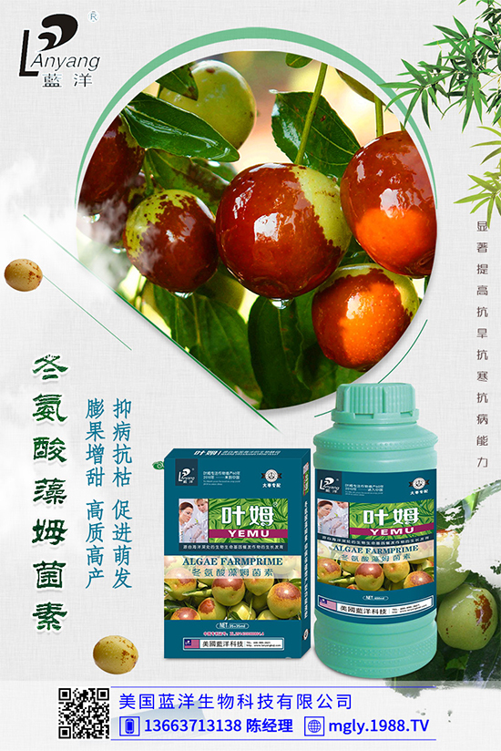 �ײ�ܛ��������������������ЩΣ�����ײ�ܛ�����İl(f��)���c����