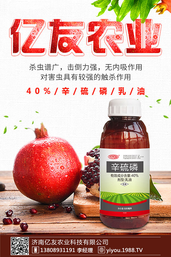 �D÷�N����ô�N���D÷�N�ӷNֲ������