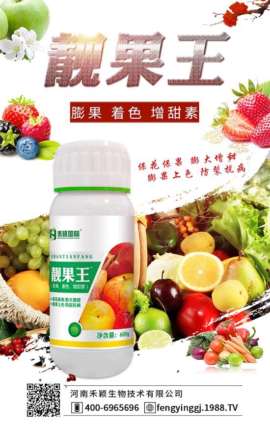 菠菜種植怎么施肥呢？菠菜種植施肥技巧