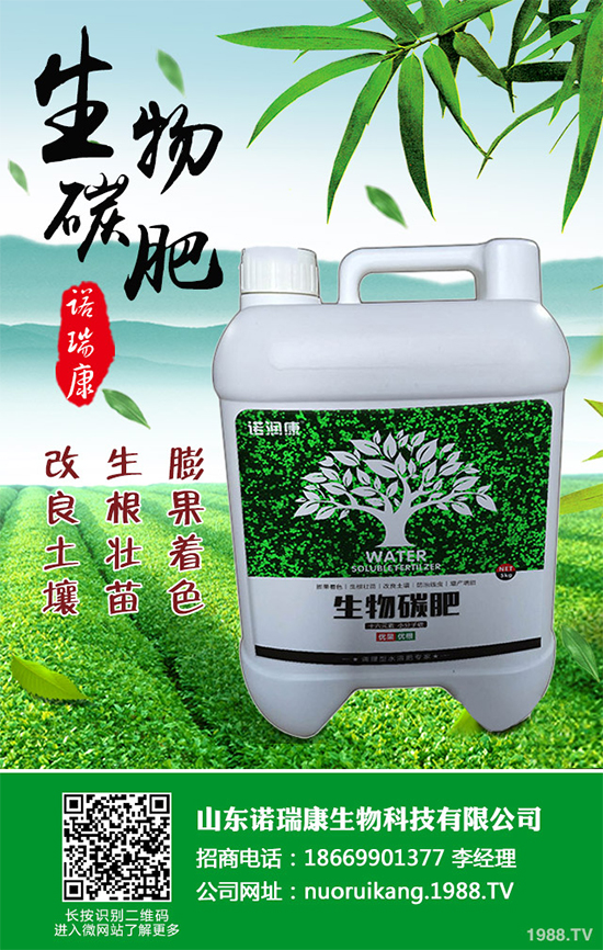 ����������ԓ��ô�N�������@���c���p�ɷN����������