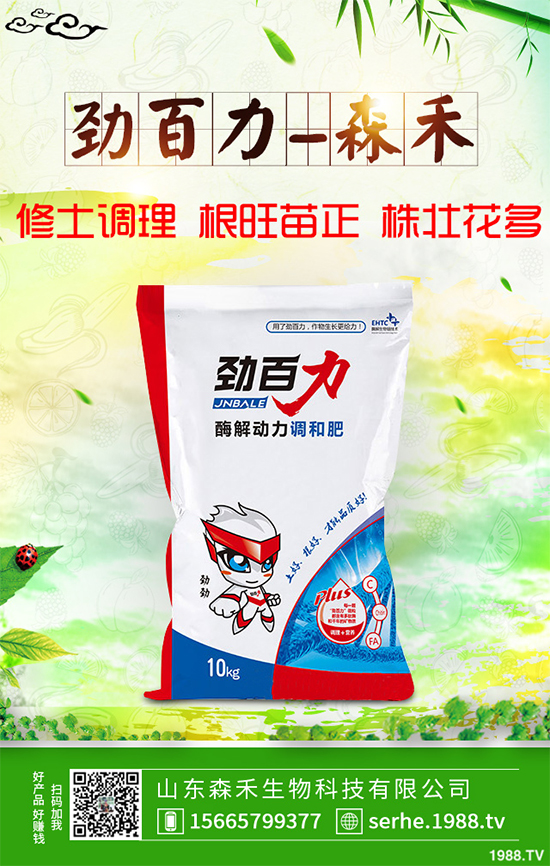 油麥菜霜霉病有哪些危害癥狀？有哪些表現(xiàn)？油麥菜霜霉病的防治措施