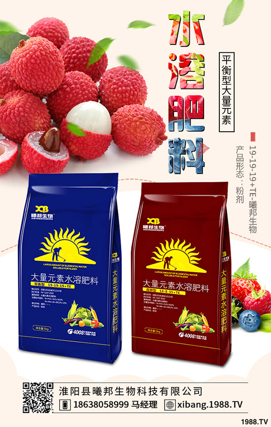 越冬菠菜怎么種，越冬菠菜的種植時間及種植方法！