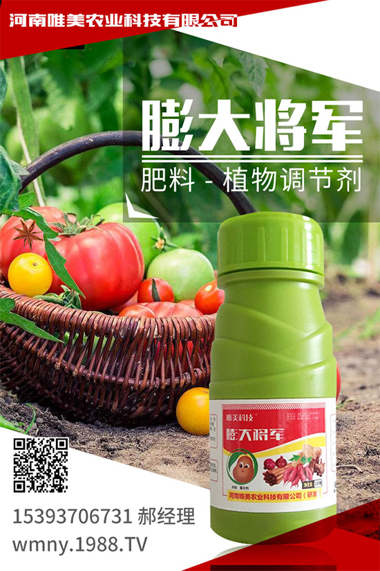 紫薯怎么種植？紫薯高產(chǎn)種植方法