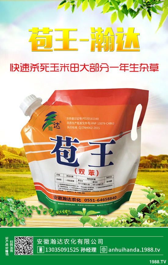 石楠花怎么種植？石楠花的養(yǎng)殖方法！