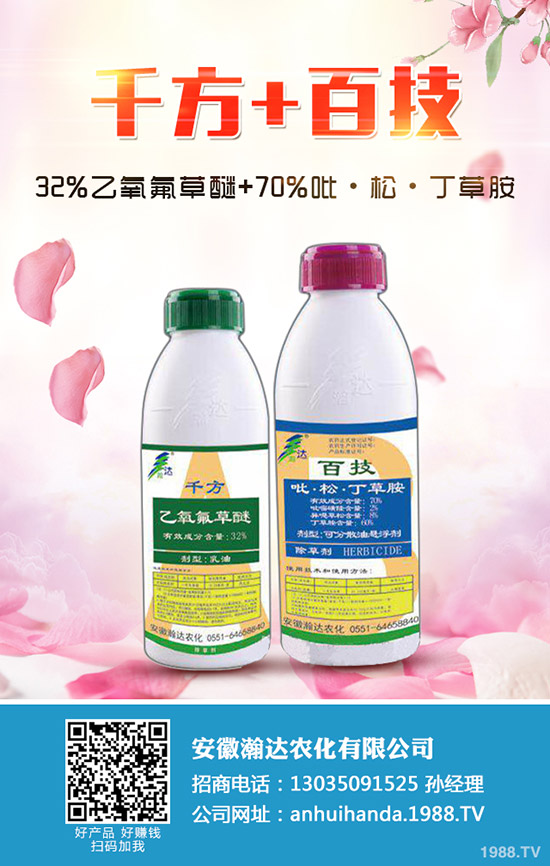 冬季馬鈴薯怎么種？冬季馬鈴薯栽培要點！