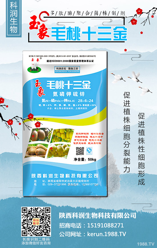     2019-10-30���¶��@�r(ji��)�������(d��ng)�B(t��i)�u(p��ng)���������Xһ����