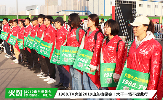 �F(xi��n)��(ch��ng)ֱ����2019ɽ�|ֲ����(hu��)ʢ���_Ļ��ǧ�̅R��������ȼ��ȫ��(ch��ng)!