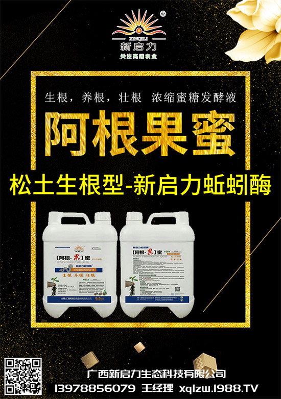 ���{(l��n)��Ä������ЩΣ��������{(l��n)�����İl(f��)���c���μ���