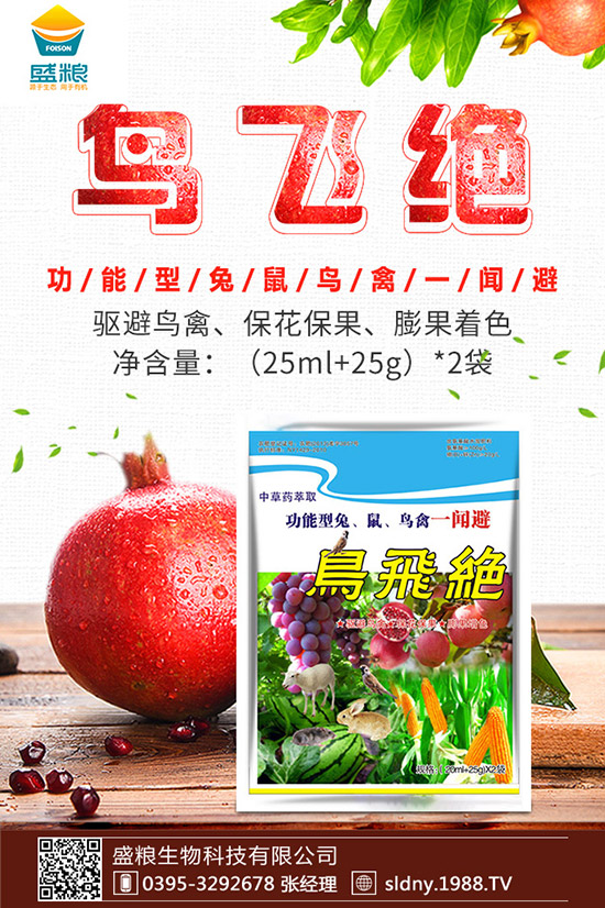 �������t������ڷۣ��������t���ڷ۷�������Щ��