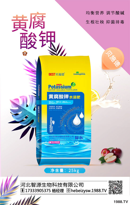 八月炸怎樣種植？八月瓜栽培技術(shù)！